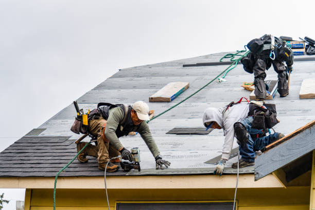 Professional Gutter Installation technician working in Lincoln, AL